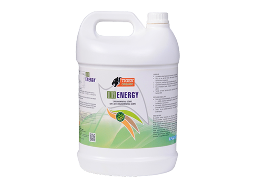 ULTRA ENERGY