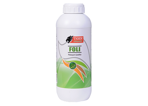 FOLİ