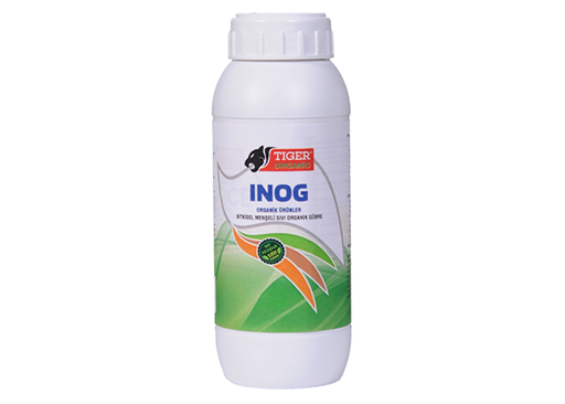 INOG 